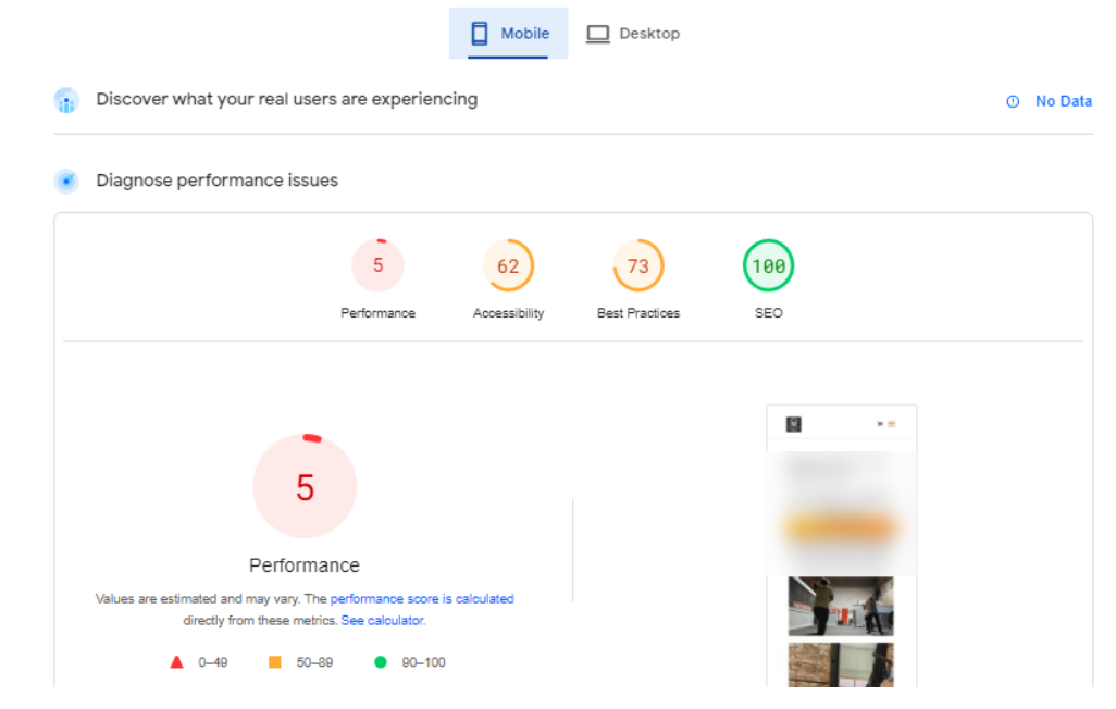 Technical SEO audit for a local business — mobile performance before optimization